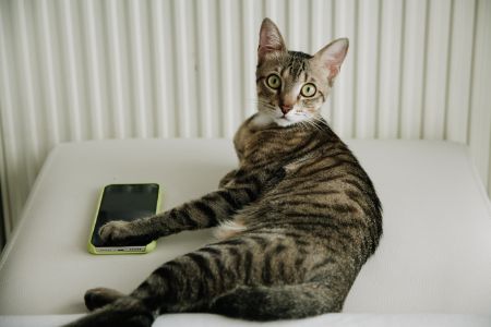 gps kat