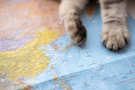 katten tracker