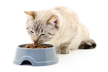 lidl kattenvoer alternatief
